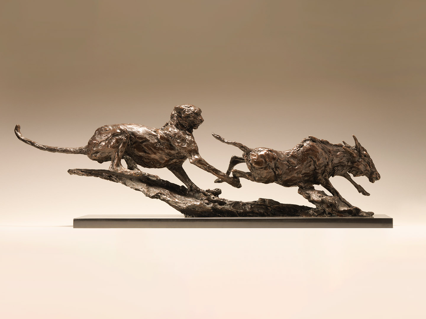 Cheetah Tripping Wildebeest Thumbnail